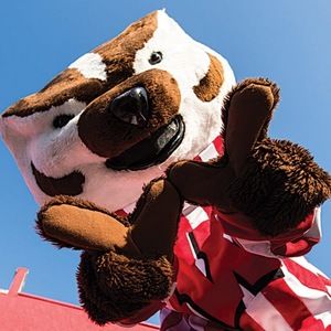 Meet your Posher, Marcy